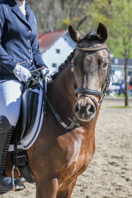 换进攻中灵 换进攻中灵