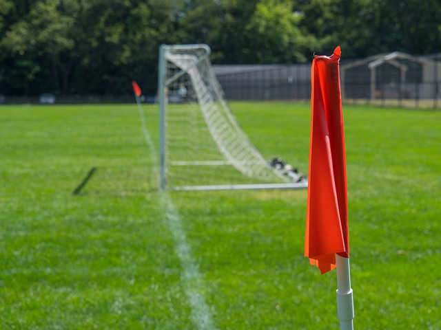 吸引了许多 吸引了许多