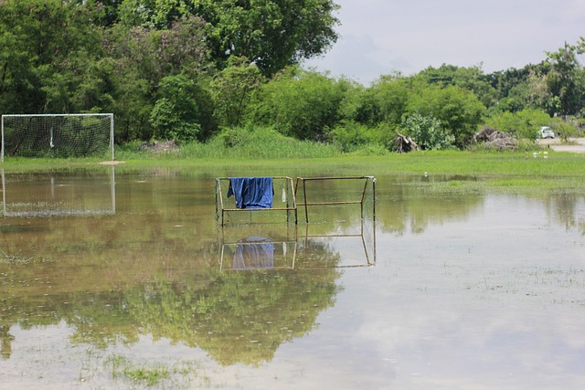 马卡报：除孔德和琼阿梅尼，迈尼昂也参与到两人的国王联赛球队中.