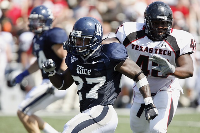 翠有初步判 翠有初步判