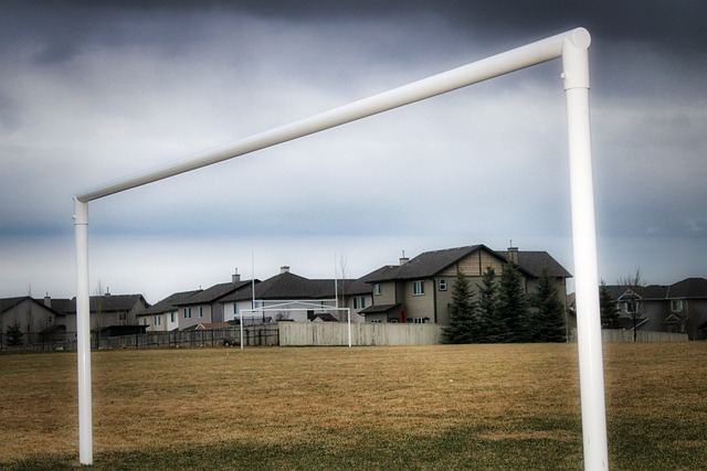 结合现代格 结合现代格