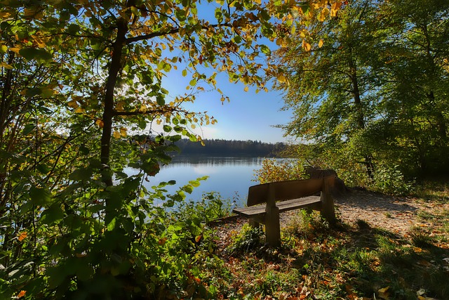 渐崭露头角 渐崭露头角