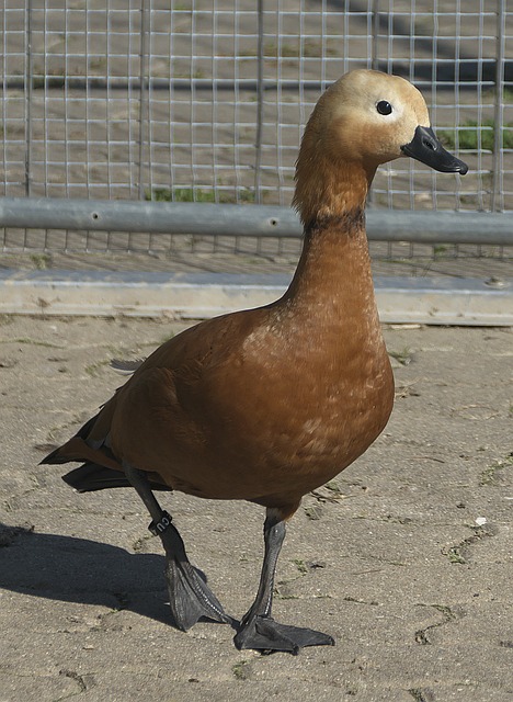 从提供海洋